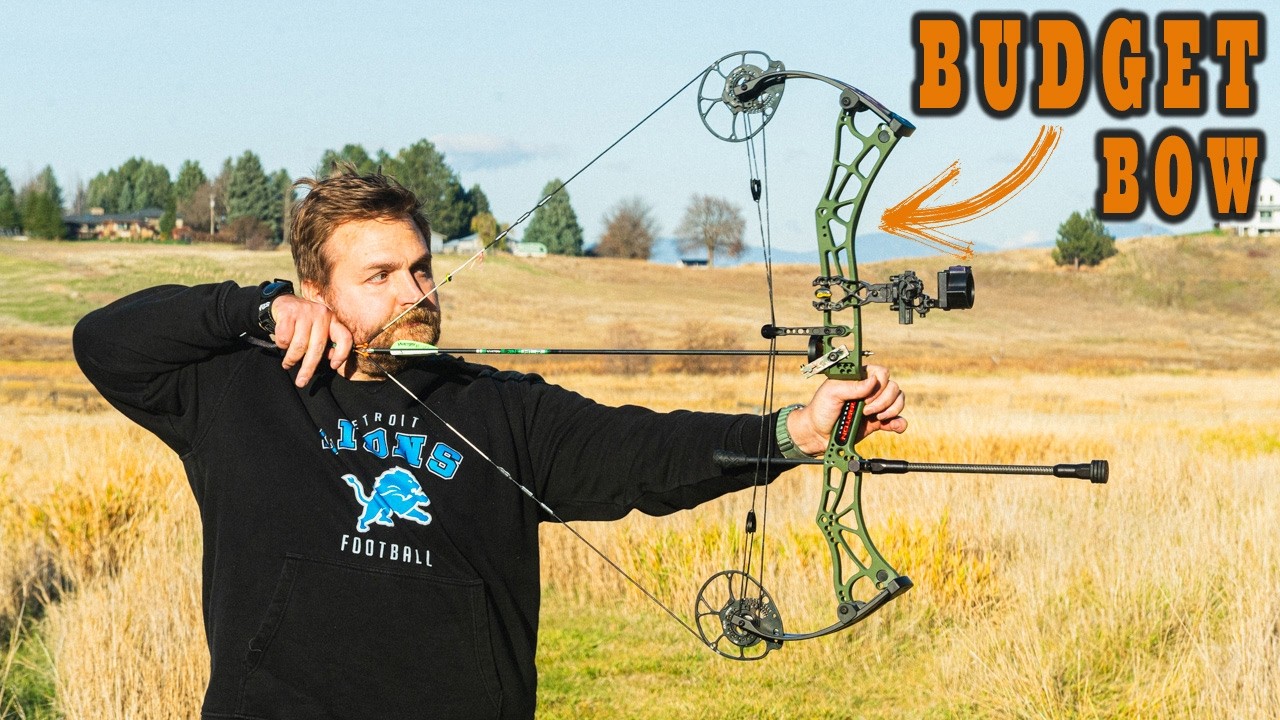 Бюджетный лук, который стоит посмотреть