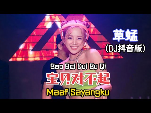 草蜢 - 宝贝对不起 Bao Bei Dui Bu Qi [Maaf Sayangku] (DJ抖音版) Hot Tiktok Douyin 抖音 - Translated Indonesia class=