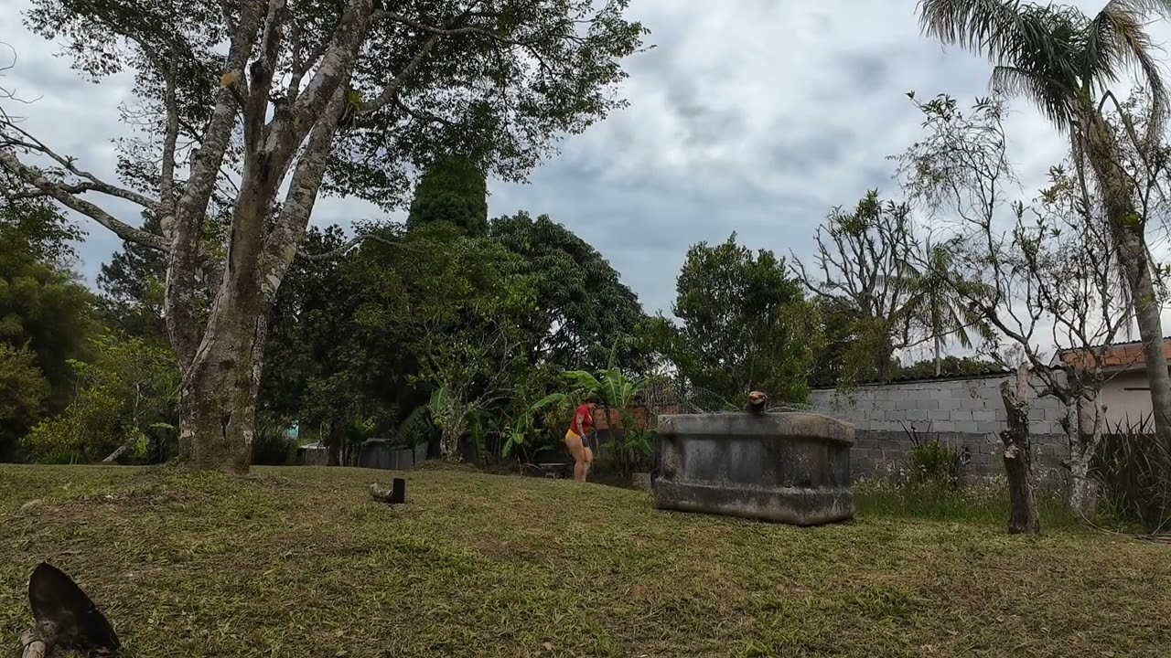 Fazendo Canteiros com terra fofinha