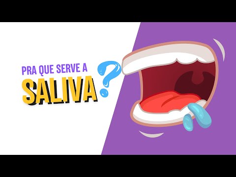 Pra que serve a saliva?