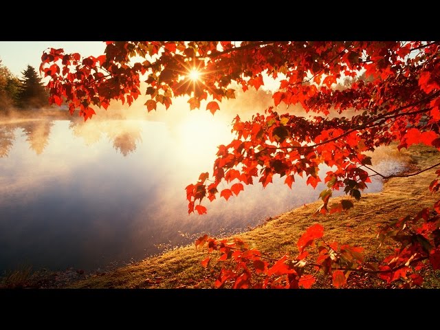 Andy Moor - November Morning
