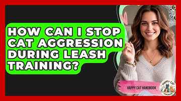 How Can I Stop Cat Aggression During Leash Training? - Happy Cat Handbook