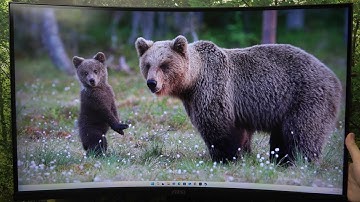 MSI MAG 321CUP: How to Enable Adaptive Sync for Tear-Free Gaming!