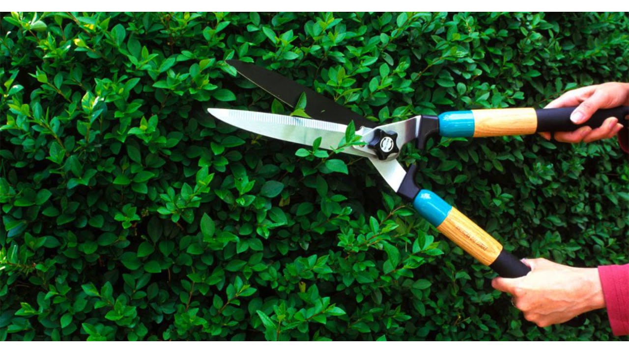 Let Greenworks Lawn Maintenance Handle Any Landscaping Service That You