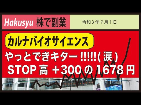 【hakusyu株で副業】やっとでキター!!!! (涙) カルナバイオサイエンス　PTSストップ高