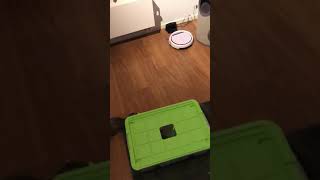 Ferrets vs robot vacuum cleaner