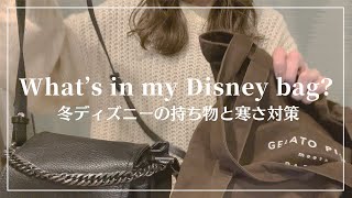 冬の必需品 冬ディズニーの持ち物と寒さ対策 What S In My Bag Youtube