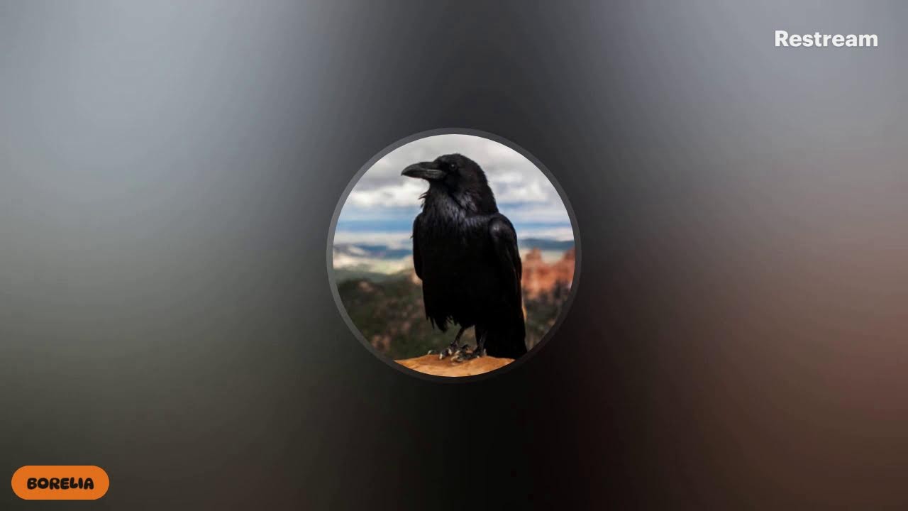 le-pape-et-puis-quoi-encore-youtube