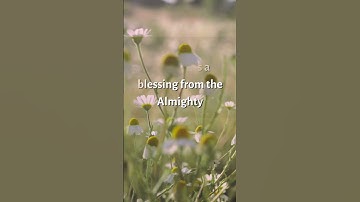 Thumbnail of Good Morning Quotes in English, Beautiful WhatsApp Status, YouTube Shorts #shorts #goodmorning