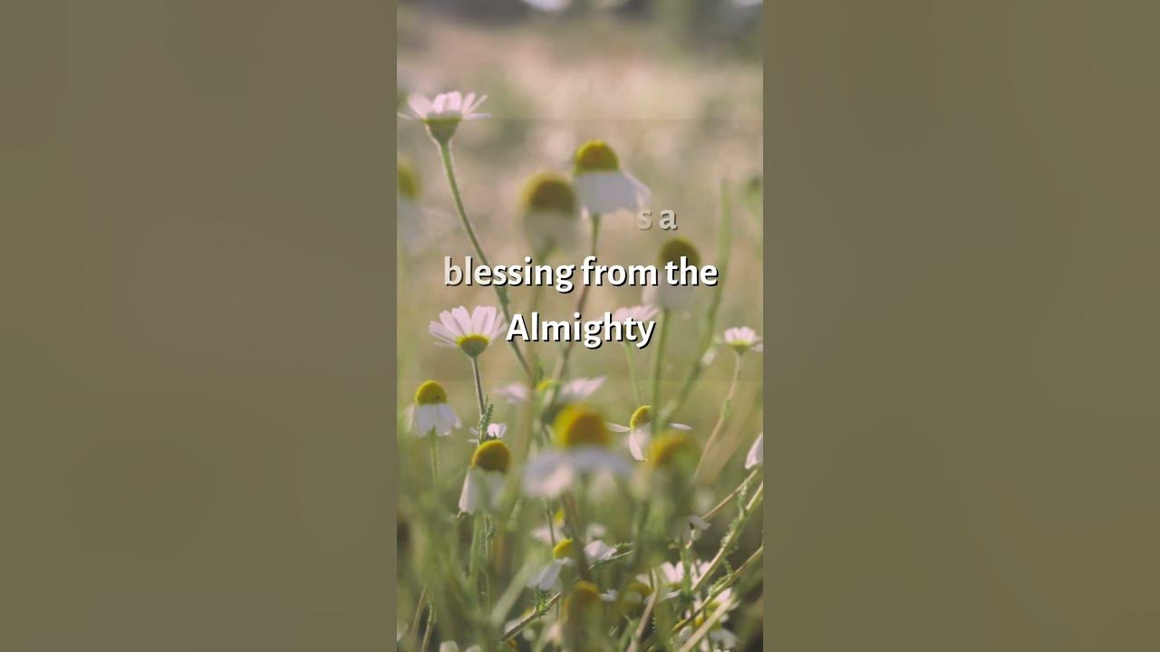 Good Morning Quotes in English, Beautiful WhatsApp Status, YouTube Shorts #shorts #goodmorning Good Morning Quotes in English, Beautiful WhatsApp Status, YouTube Shorts #shorts #goodmorning