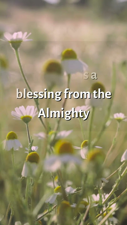 Good Morning Quotes in English, Beautiful WhatsApp Status, YouTube Shorts #shorts #goodmorning