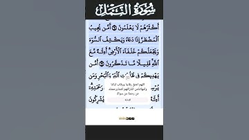 سورة النمل الآية 62 #قرآن #تلاوات #سورة