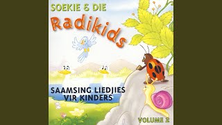 Die Heel Beste Boek