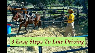 3 Steps To Line Driving by High Desert Homestead 278 views 11 months ago 20 minutes