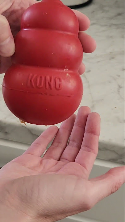 This Dog Toy is So Popular for a Reason! #dogs #amazon #amazonfinds