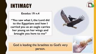 Confirmation - Lesson 6 - Covenant at Sinai | August 1, 2021 | DCC