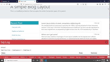 CakePHP 4 Pagination (11)