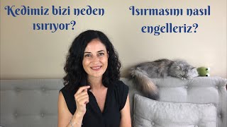 Kedimiz Bizi Neden Isiriyor Isirmasini Nasil Engelleriz Youtube