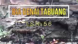Tasril 56 - Bia Denai Tabuang