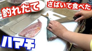 【釣りガール】釣れたて新鮮なハマチをさばいて食ったら全てを忘れた