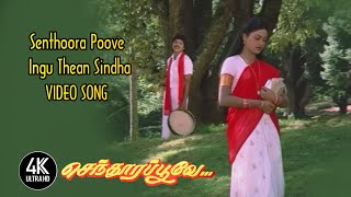 Senthoora Poove Ingu Thean Sindha HD | Senthoora Poove Songs | 4KTAMIL | செந்தூர பூவே பாடல்கள்