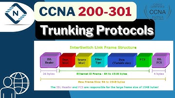 Free CCNA (NEW) | Trunking Protocols | Day 19 | CCNA 200-301 Complete Course