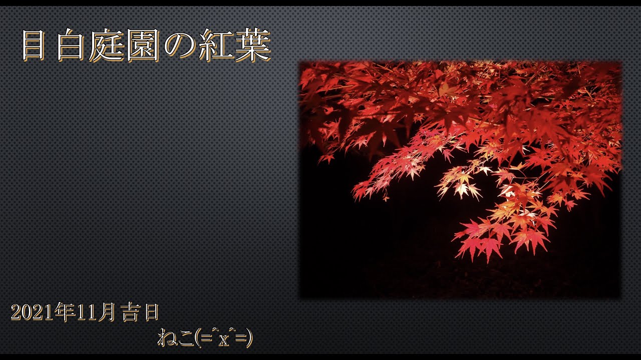 目白庭園紅葉21 Youtube