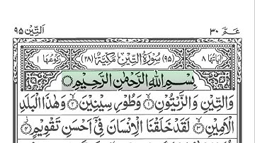 Surah At-Tin 95 [ The Fig ] سورة التين | Imam Faisel Muhammad | Guided reading HD