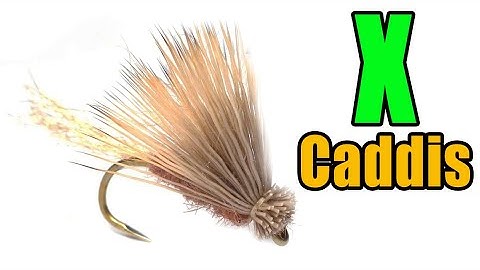 X Caddis Fly Tying - Craig Mathews Fly Pattern