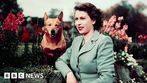 How Queen Elizabeth II's love of corgis started a phenomenon - BBC News
