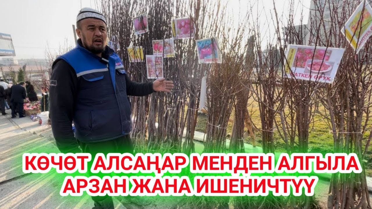 ЖАЗ КЕЛДИ КӨЧӨТ АЛГЫЛА // арзан жана ишеничтүү кепилдиги бар
