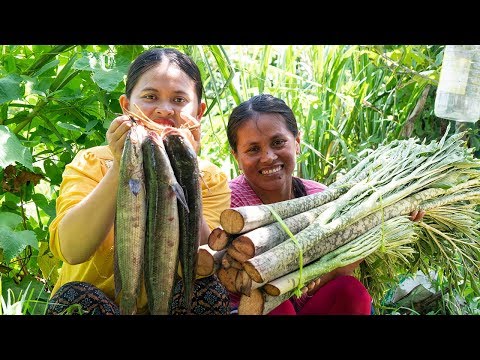 how-to-cook-elephant-foot-yam​-porridge---delicious-borbor-phe-recipe-at-countryside-[kitchen-foods]