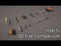 Insect size comparison 3D | Largest insect