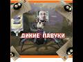 Стрим/sMITE/TRICKSTER_SLOW_SHOW