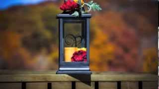 Información Firefly Valley Lodge Noticias