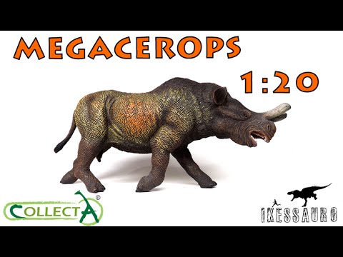 Megacerops Collecta