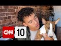 Puppy Care and Adoption Insights