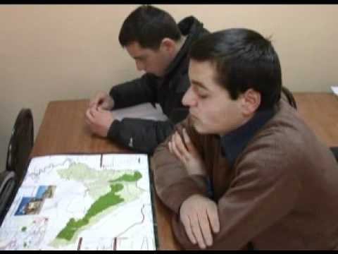 პროფესიული კოლეჯი