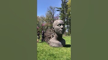 Of the Earth: Artist Olga Ziemska Builds Ona Sculpture at The Morton Arboretum