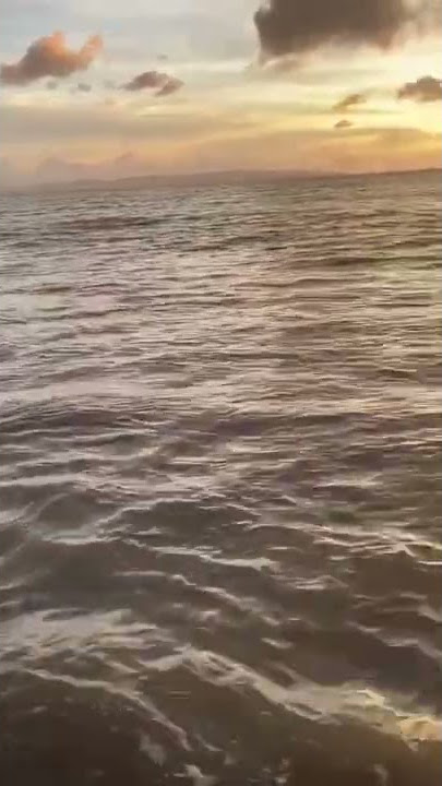 LIBURAN DI PANTAI BARENG PACAR | HALU STORY #shorts  #storyhalu #storyig #storywa