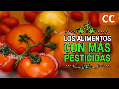 Ciencia de la Comida