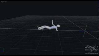 Endorphin Ragdoll behaviors + animation blend test