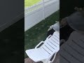 Cooper Loves Planes