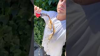 Puse a prueba una camiseta anti-manchas (y funcionó)