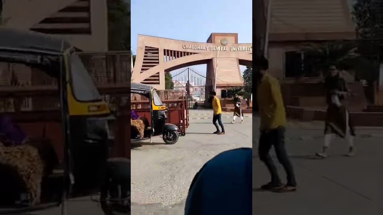 CDLU University, Sirsa