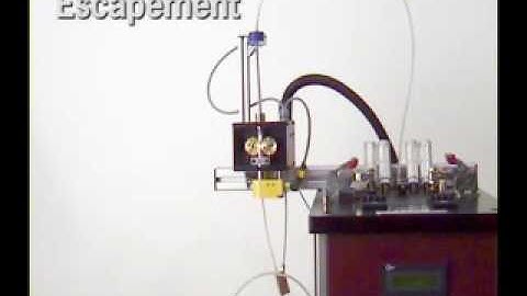 Colombi SpeedFeeder Spring Detangler and delivery system | Novo Precision