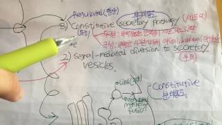 The Cell: Ch.13 sorting in trans golgi network