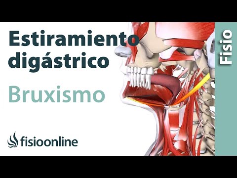 Ejercicio de estiramiento