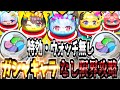 【ぷにぷに】特効・ウォッチ無しでガシャキャラに頼らず裏マップの兎田ぺこらや大空スバル、角巻わため達イースター衣装ホロメンへ挑んだ結果が最難関クラス！？【ホロライブコラボ】
