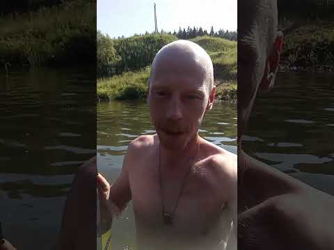 любимое место отдыха на реке Беспута #обзор #beer #природа #лето